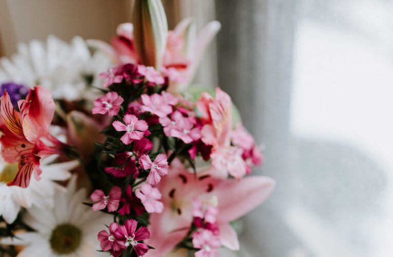 Evighedsblomster vs. Friske Blomster: Hvad er Forskellen?